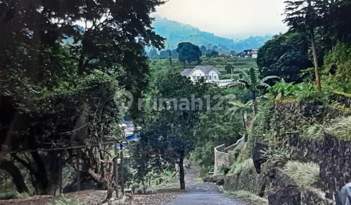 Tanah dan bangunan satu hamparan
