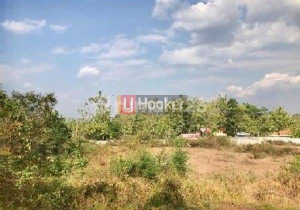 Kavling di Patemon Sekaran Kavling di Patemon Sekaran