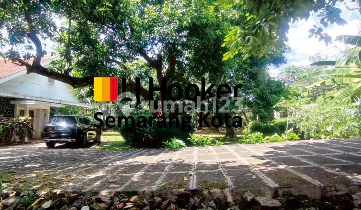 Kavling cocok untuk usaha di Setiabudi (KT) Kavling cocok untuk usaha di Setiabudi (KT)