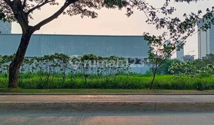 Kavling Area Jalur Sutera Tanah Bagus Lokasi Strategis Jalan Lebar Harga Murah Dan Terjangkau