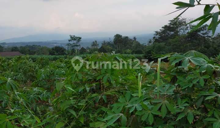 Tanah dijual