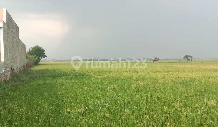 Tanah Sapan gedebage bandung Cocok untuk Gudang