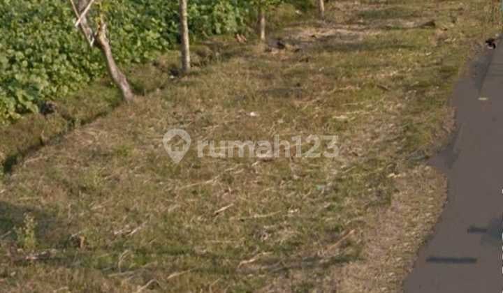 Tanah Plot Industri di Pilang Kenceng Madiun