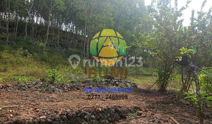 Tanah luas siap bangun dekat pantai gunung kidul