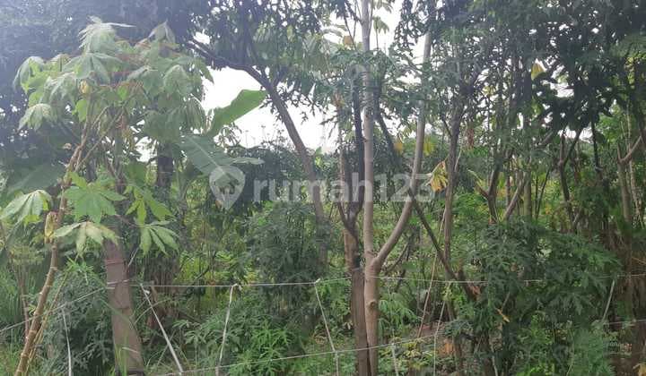 Tanah Kavling di Dago, Lokasi Strategis