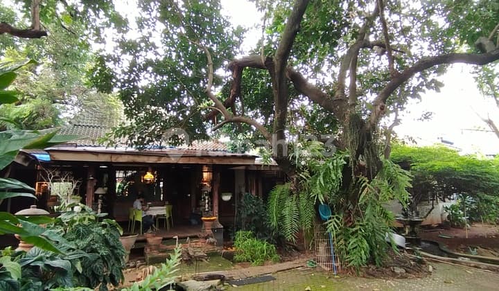 Tanah Kebun Bonus Rumah Joglo Rasa Villa Desa JakSel 6.75Juta