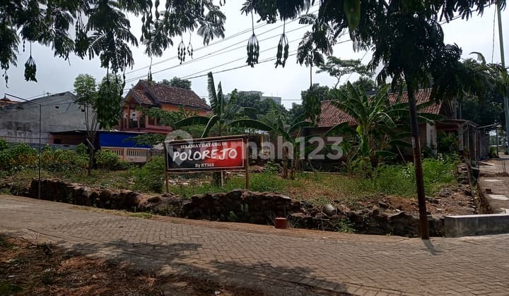 Hanya 200 meter dari jl raya Purwosari