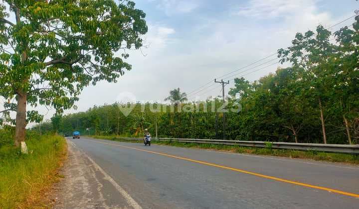 Dijual Tanah di Jl. Lintas Sumatera, Sukabanjar, Kec. Sidomulyo, Talang Baru, Lampung Selatan