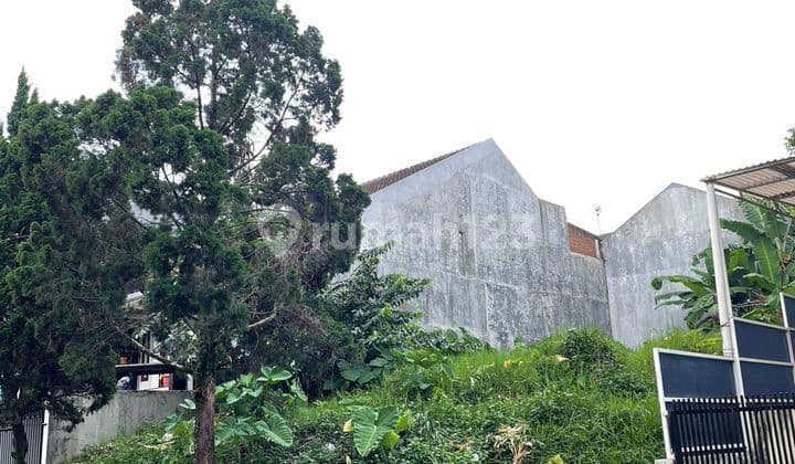 Tanah Setraduta, Langka !