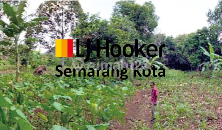 Kavling bagus di Perintis Kemerdekaan (DN)