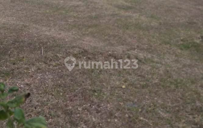 Industrial Land in Sukolilo Tuban