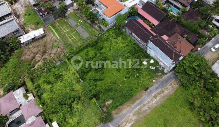 Cool land in Canggu, villa environment, rice field view, Jalan Papasan