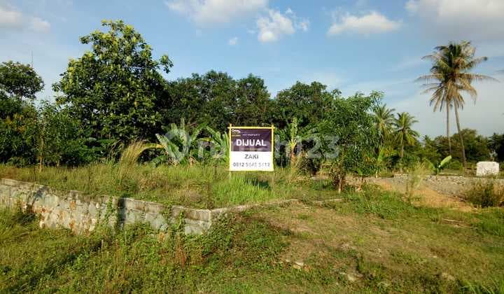 Affordable Land in Bojonegara Luwung Teja Near Purwakarta Cilegon Office