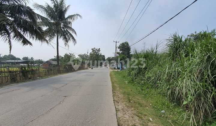 Dijual Cepat Lahan Tanah Kebun Daerah Pangkalan Loji Karawang