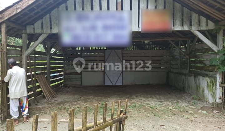 Tanah Sawah, Kebun dan Kolam Pandeglang