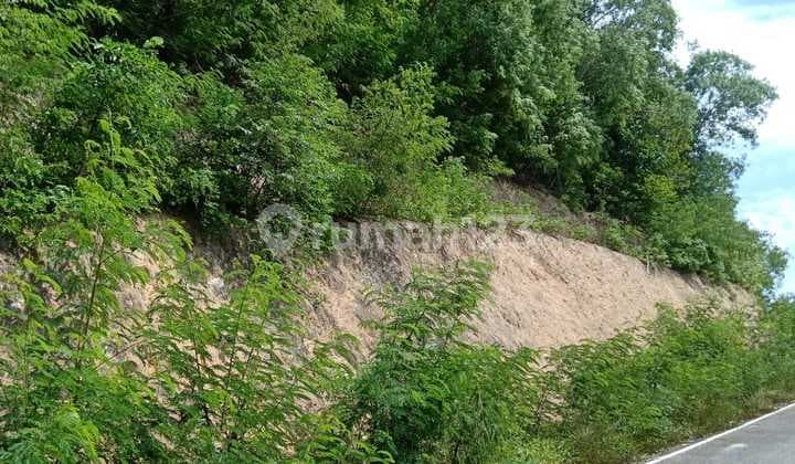 Tanah dalam kota, Sunset dan ocean view. Pinggir jalan Raya, bagus untuk hotel.