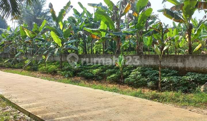 KAVLING Tanah Cocok Tuk Investasi Di PESONA CIMULANG ASRI Ranca Bungur Bogor