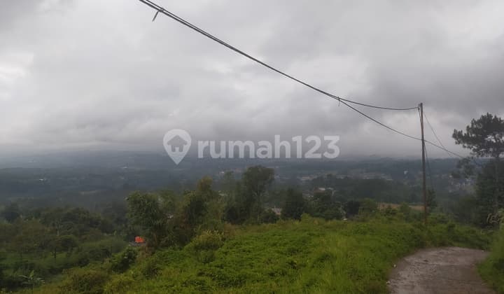 Land Suitable for Cafe & Restaurant & Villa Business in Dicijeruk