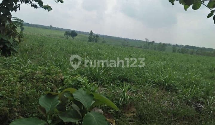 Industrial Land Sukoharjo Solo Central Java