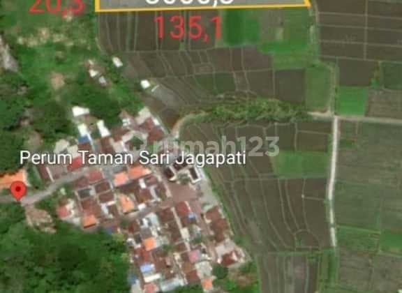 Dijual Tanah sawah Dekat Bali Bird Park