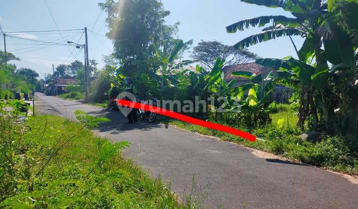 TANAH CANTIK DAN MURAH DI GITO GATI
