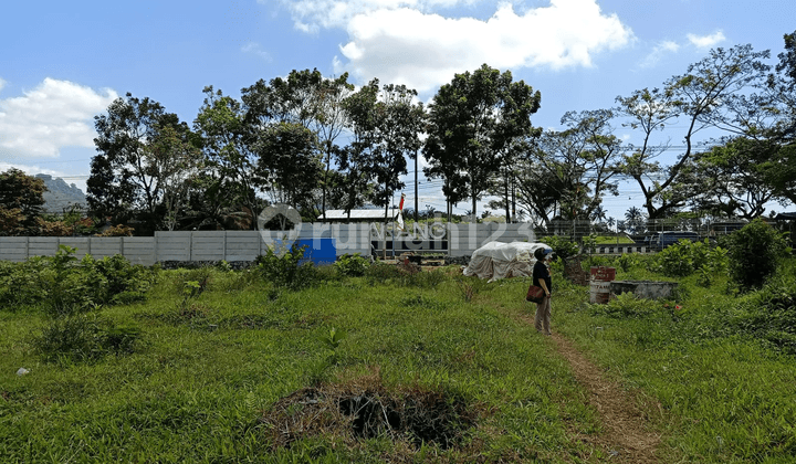 Tanah di Glenmore Banyuwangi