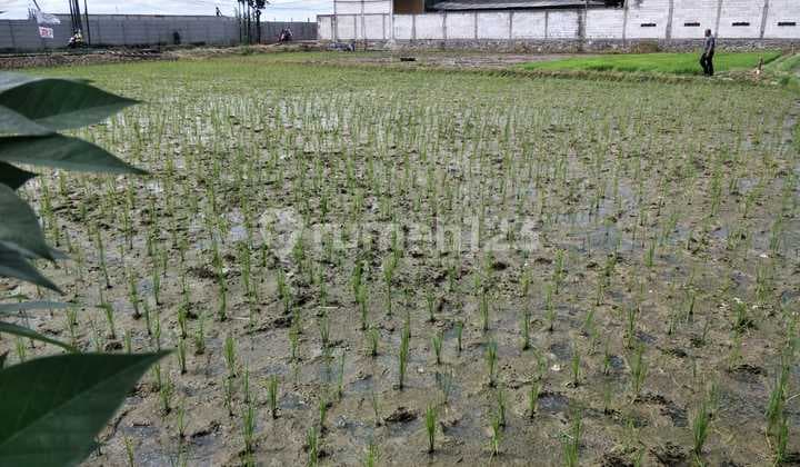 Kavling Strategis dekat dengan Aeon Jakarta Garden City Cakung Jakarta Timur