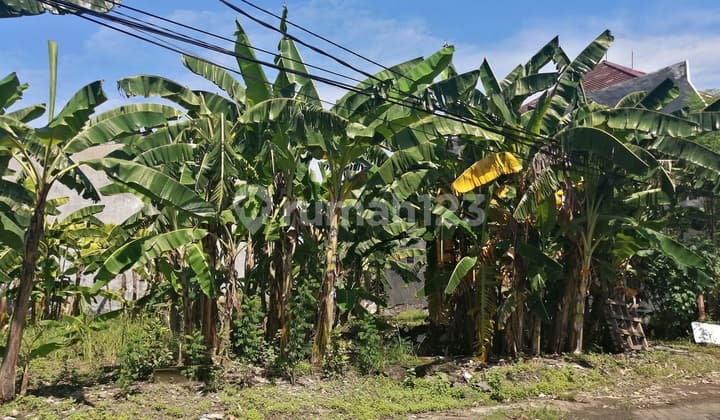 EAST FACING ROW 8M ROAD - Ready-to-Build Plot Kebonsari Elveka Surabaya