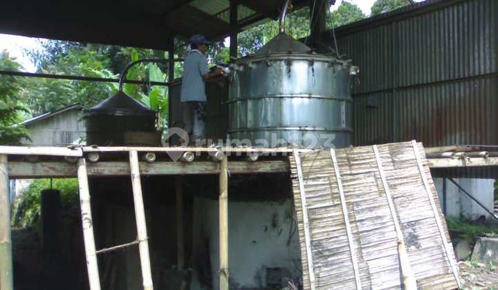 Dijual Tanah Ex-Pabrik Penyulingan Minyak Nilam
