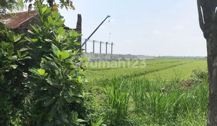 Tanah Industri Bandar Kedungmulyo Jombang Di Bawah 1 Hektare