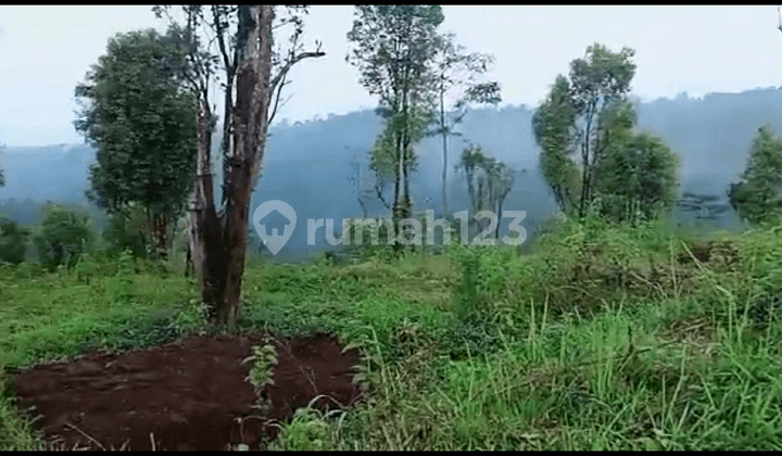 Kavling di Tamansari Sukorejo