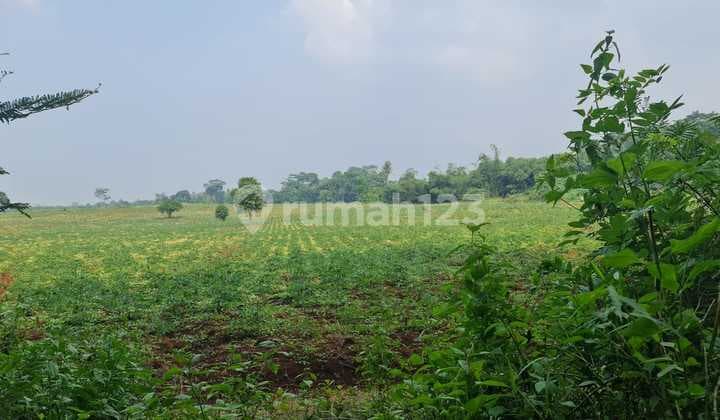 For Sale Industrial Area Land, Bendungan Village, Kalijati, Subang, West Java