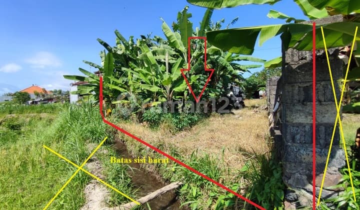 Tanah Kavling siap bangun View Sawah di Jl Takmung Desa Satra Klungkung Bali