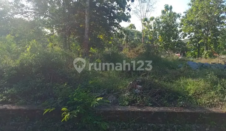 Tanah Pekarangan Jalan Wates Sentolo Kulonprogo Yogyakarta