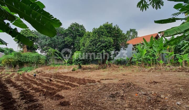 TANAH LUAS dgn S.POOL at Jl PURI BUNGA / JERUK PURUT, JAKSEL