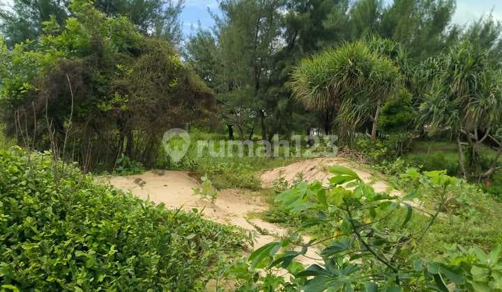 Industrial Land in Raya Gelondong, Jenu, Tuban