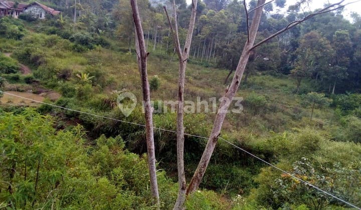 Tanah Cibodas Ciwidey Bandung