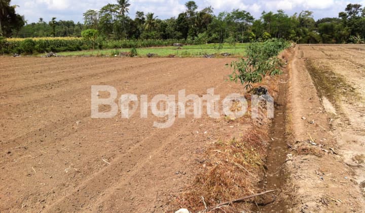 TANAH DI JALAN UTAMA TUMPANG