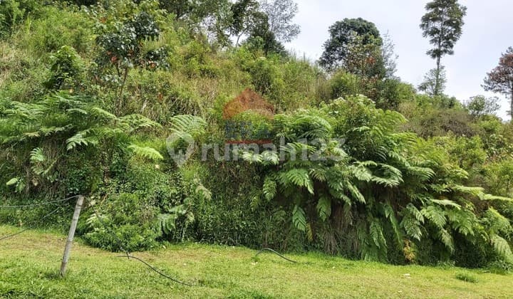 Tanah kavling Triniti, lokasi berada di kawasan wisata Lembang