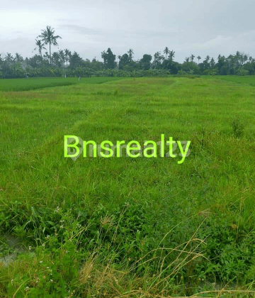 Tanah Lokasi Munggu