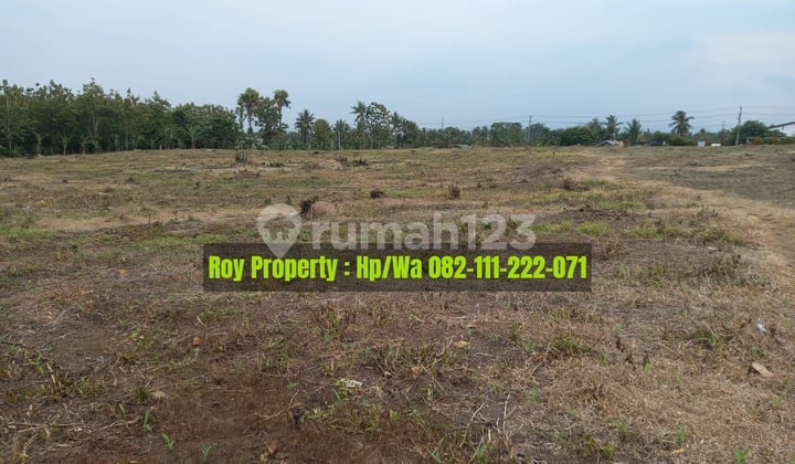 Murah Dijual Tanah di Jln Soekarno Hatta Kalianda Lampung Selatan