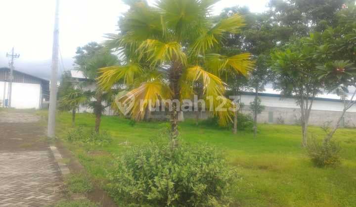 Peternakan Ayam Petelur Close House 52168 m2 di Lumajang