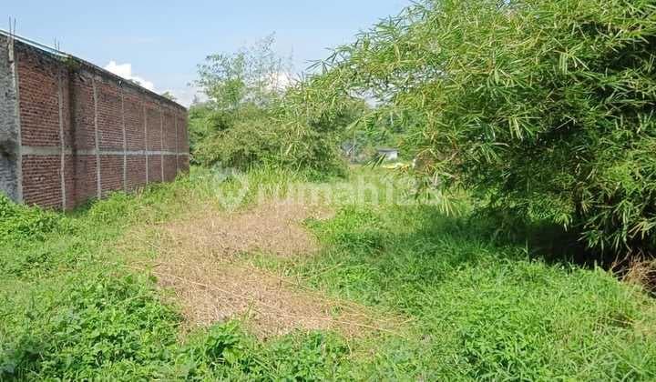 Tanah Cakep Datar & Rata Cocok Dibangun Rumah Cluster