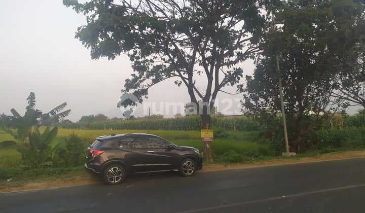 Tanah SHM LT 7940 m2 Hadap Utara di Jl Segunung Pacet Mojokerto