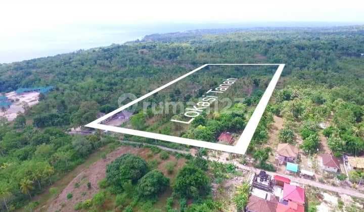 Dijual Tanah Di Nusa Penida Sental Beach 2,5 Hektar