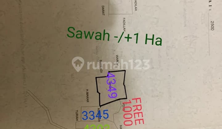 Land for sale at a very cheap price in Barengkok, Jasinga, Bogor.