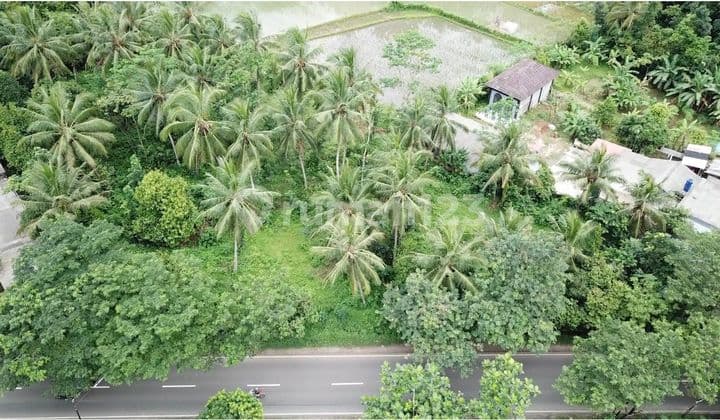 Jual Tanah Di Jalan Raya Petir, Warunggunung - Rangkasbitung, Lebak