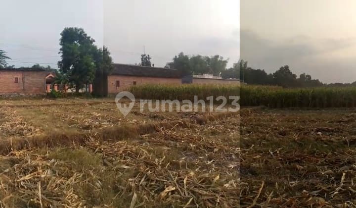 Dijual Tanah SHM 2463m2 Hadap Barat Jl Raya PacingPacet Mojokerto