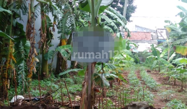 Land for Residence and Business, in Limo