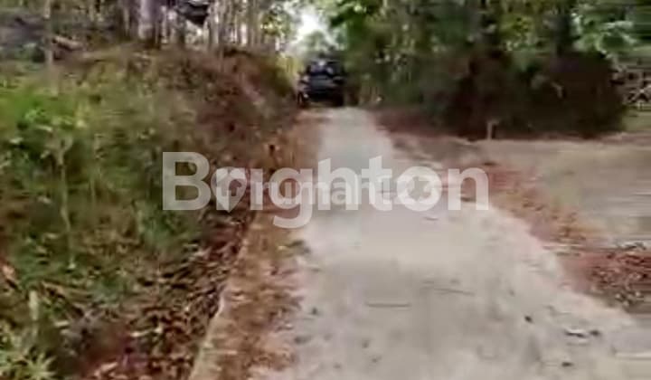 TANAH KOSONG SIAP BANGUN DI LINGKUNGAN PEDESAAN PURWOREJO